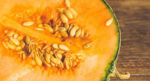 Il Melone Retato: Un'Esplosione di Gusto e Salute
